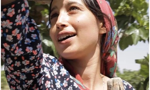 İNCİR AĞAÇLARININ ALTINDA